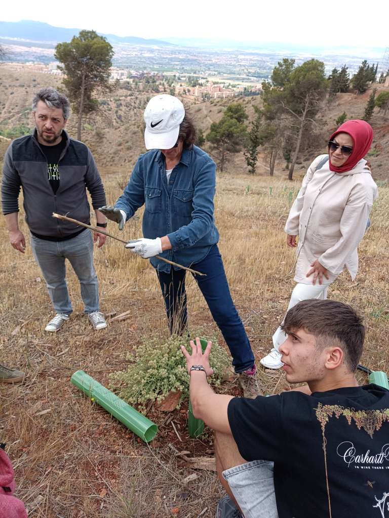 piantiamo gli alberi per riqualificare zona fuori granada 1024
