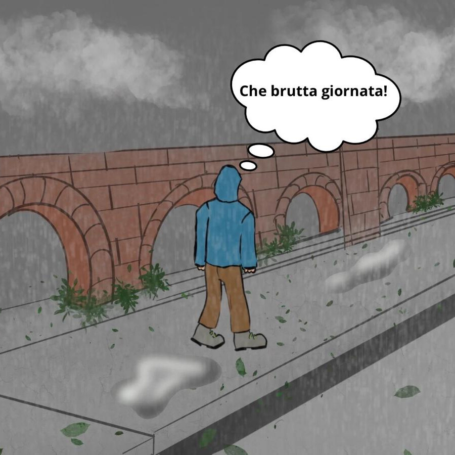 Immagine non trovata